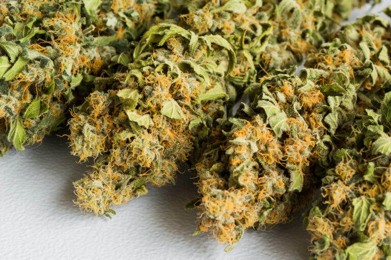 Cannabis: Anbau in Kleingärten verboten!
